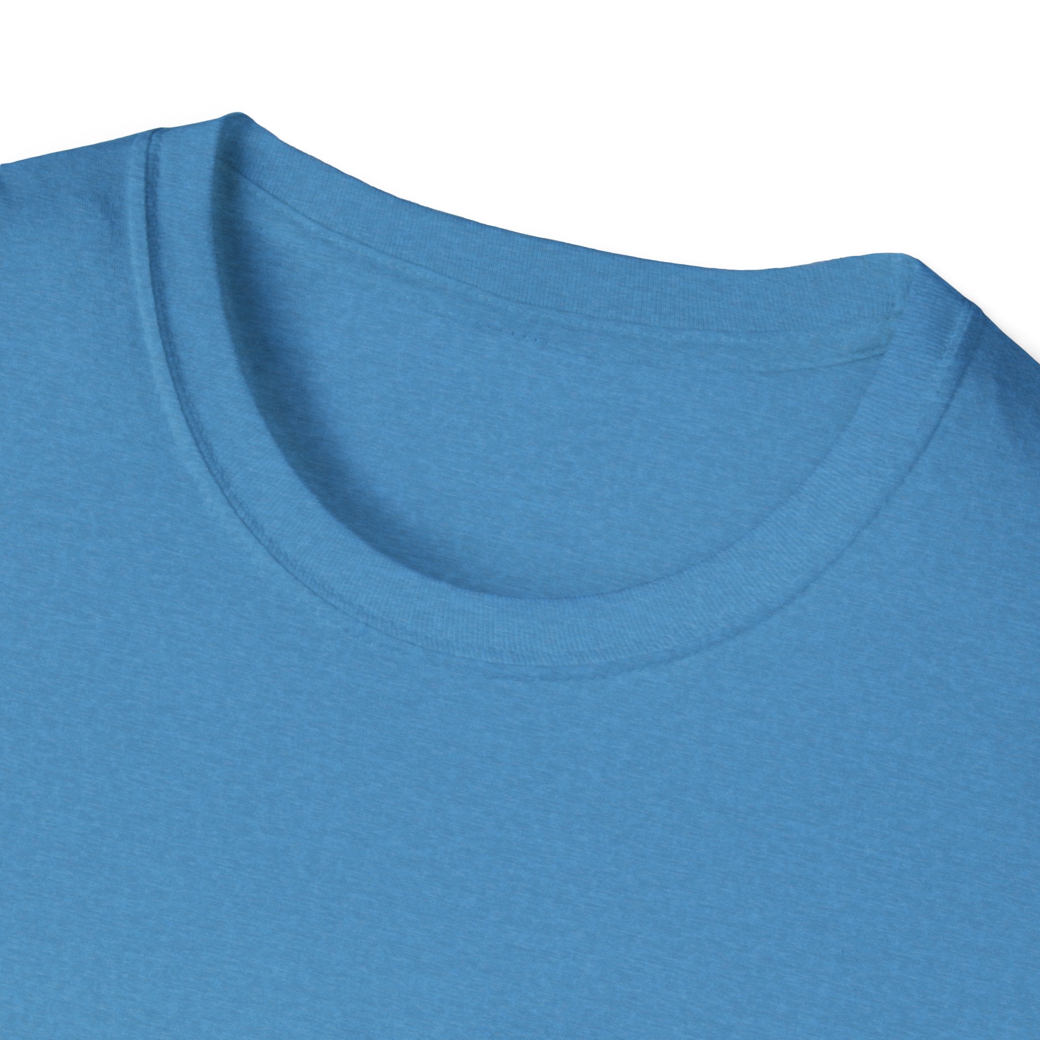 Unisex Silly Goose Era T-Shirt
