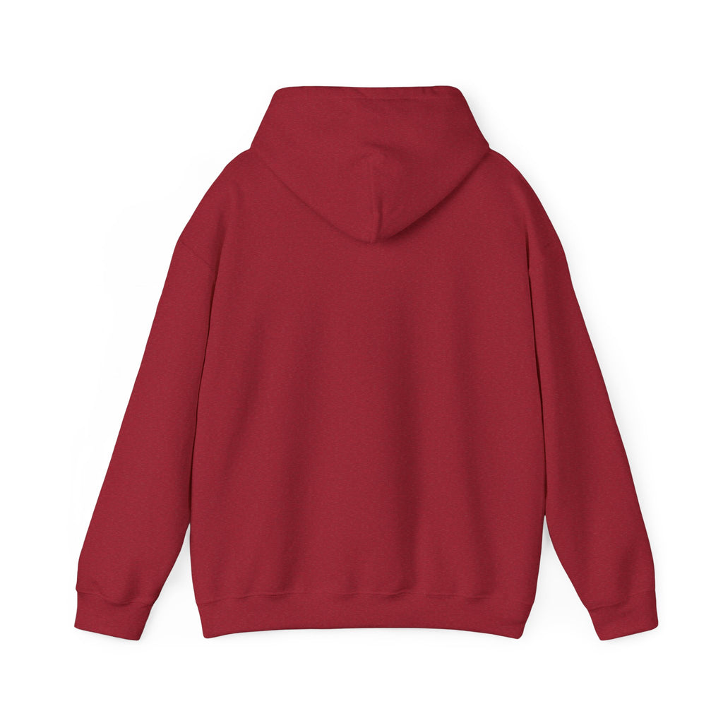 Unisex It's A Vibe Hoodie